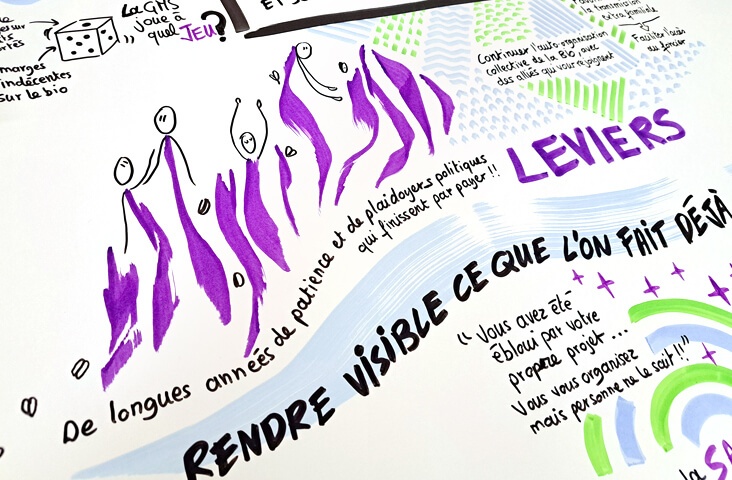 Ozidea-Gab56-AG-2026-